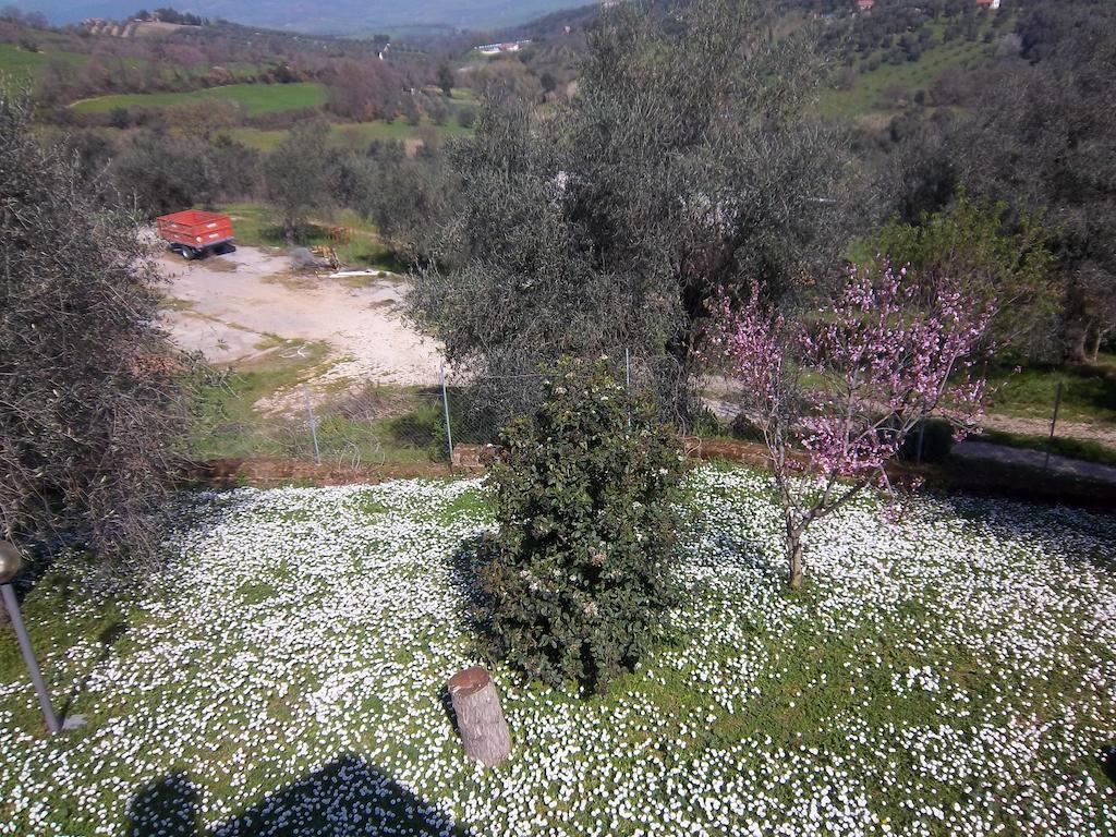 Agriturismo Norianino Montemerano Dış mekan fotoğraf
