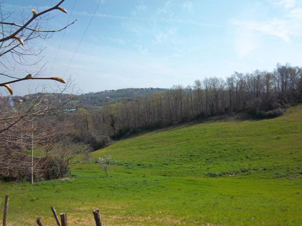 Agriturismo Norianino Montemerano Dış mekan fotoğraf