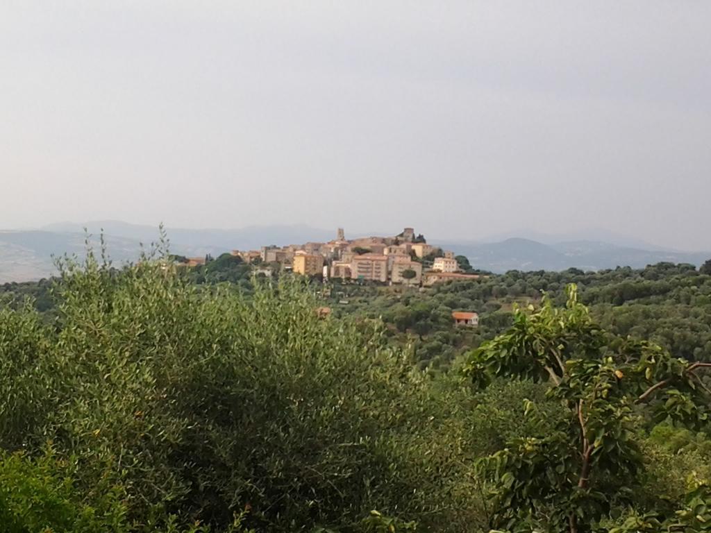 Agriturismo Norianino Montemerano Dış mekan fotoğraf