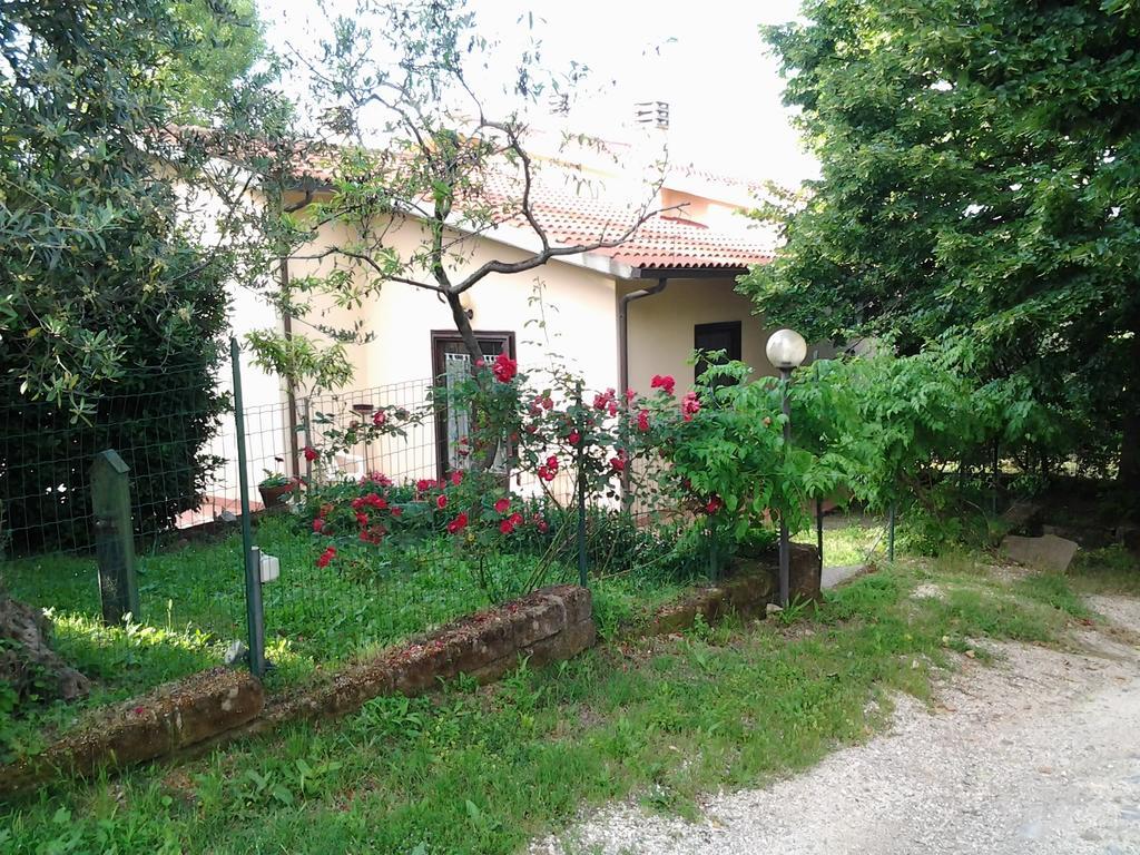 Agriturismo Norianino Montemerano Dış mekan fotoğraf